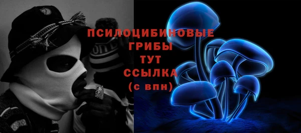 mdpv Богородск