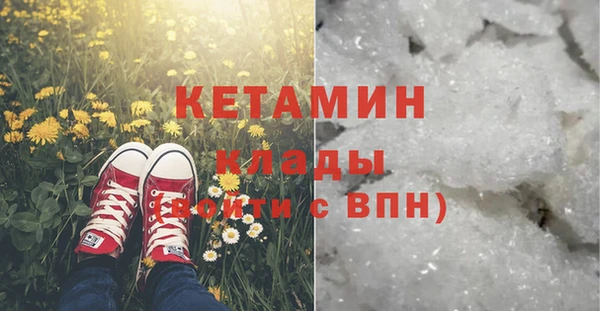 дживик Богородицк