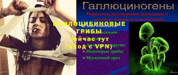 стаф Белокуриха