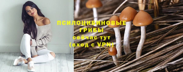 мяу мяу кристалл Богданович