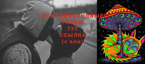 мет Протвино