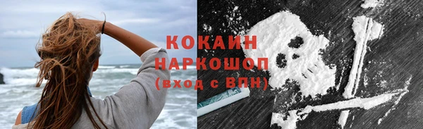 дживик Богородицк