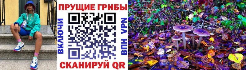 Псилоцибиновые грибы мицелий  Медвежьегорск 